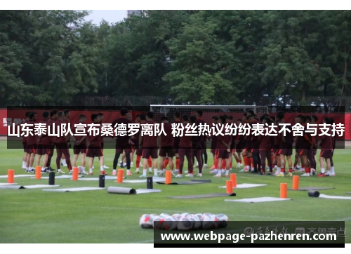 山东泰山队宣布桑德罗离队 粉丝热议纷纷表达不舍与支持 山东泰山队宣布桑德罗离队 粉丝热议纷纷表达不舍与支持