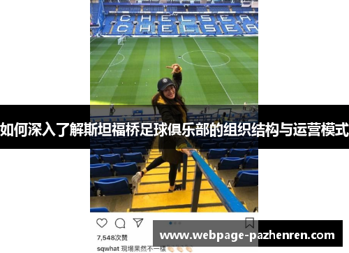 如何深入了解斯坦福桥足球俱乐部的组织结构与运营模式 如何深入了解斯坦福桥足球俱乐部的组织结构与运营模式