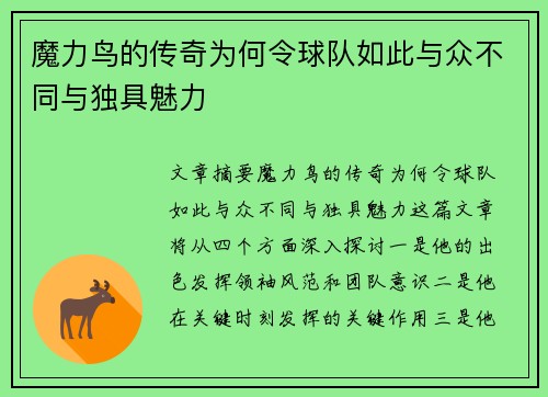 魔力鸟的传奇为何令球队如此与众不同与独具魅力